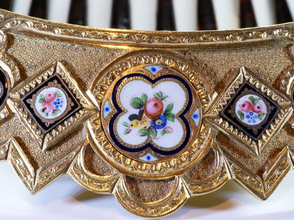 Exquisite comb with enamelled roses(4)