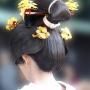 Worn by a geisha. 1995